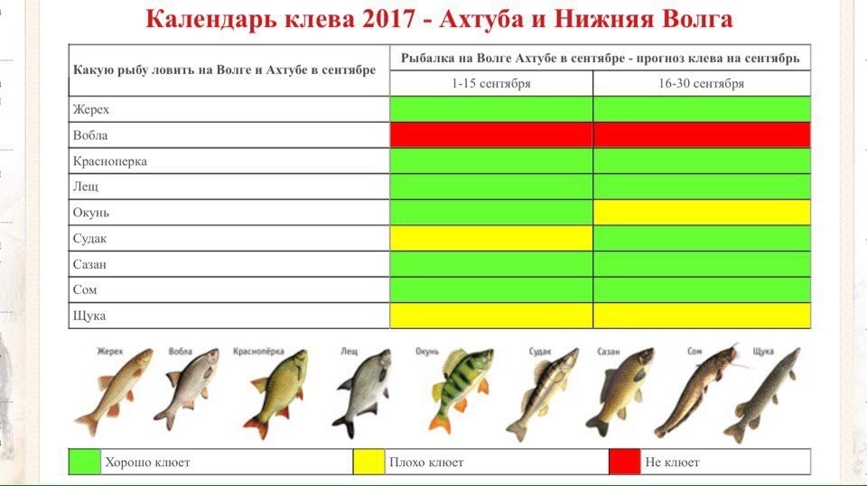 Рыбалка на канале имени москвы. особенности и поиск хищника.