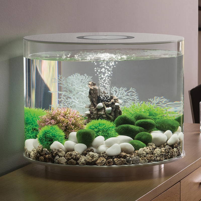 Лучший размер аквариума для начинающих — маленький или большой аквариум?