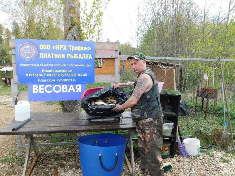 Платная рыбалка в псковской области: каталог платников
