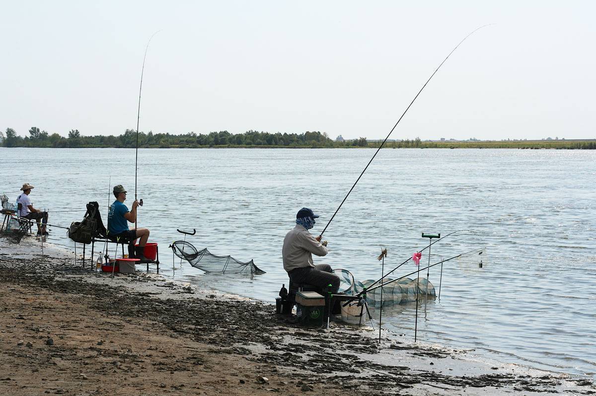 Рыбалка в свердловской области. форум и отчеты рыбаков