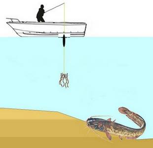 Как поймать сома на донку c берега – 2 варианта и техника ловли