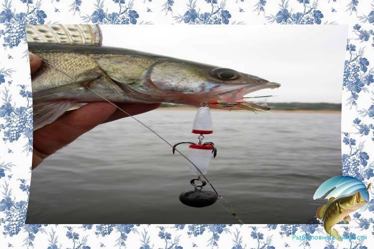 Ловля судака зимой: как найти и какие способы рыбалки использовать