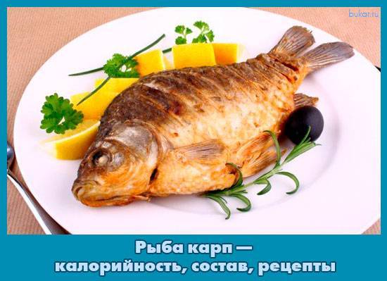 Рыба сазан: полезные свойства и противопоказания