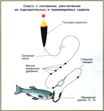 ᐉ выбираем спиннинг для ловли судака - ✅ ribalka-snasti.ru