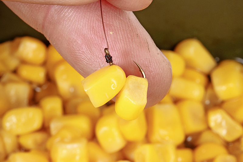 Как насадить кукурузу на крючок правильно: видео инструкция