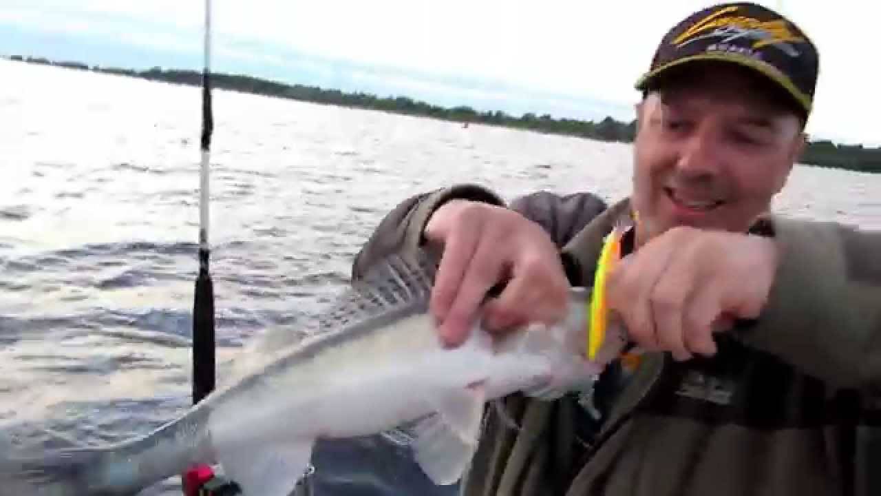 Рыбалка на троллинг видео - premium-fishing.ru