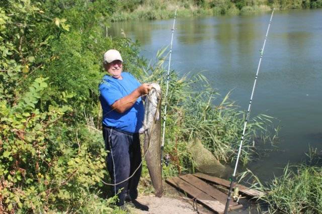 Рыбалка в ростовской области. отчеты рыбаков на форуме