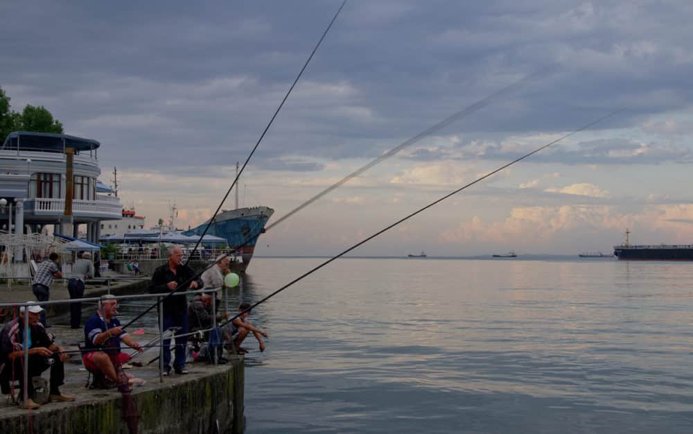 Рыбалка на черном море с берега — виды рыб и снасти для ловли