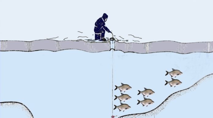 Ловля зимой леща на течении: место рыбалки и устройство снастей