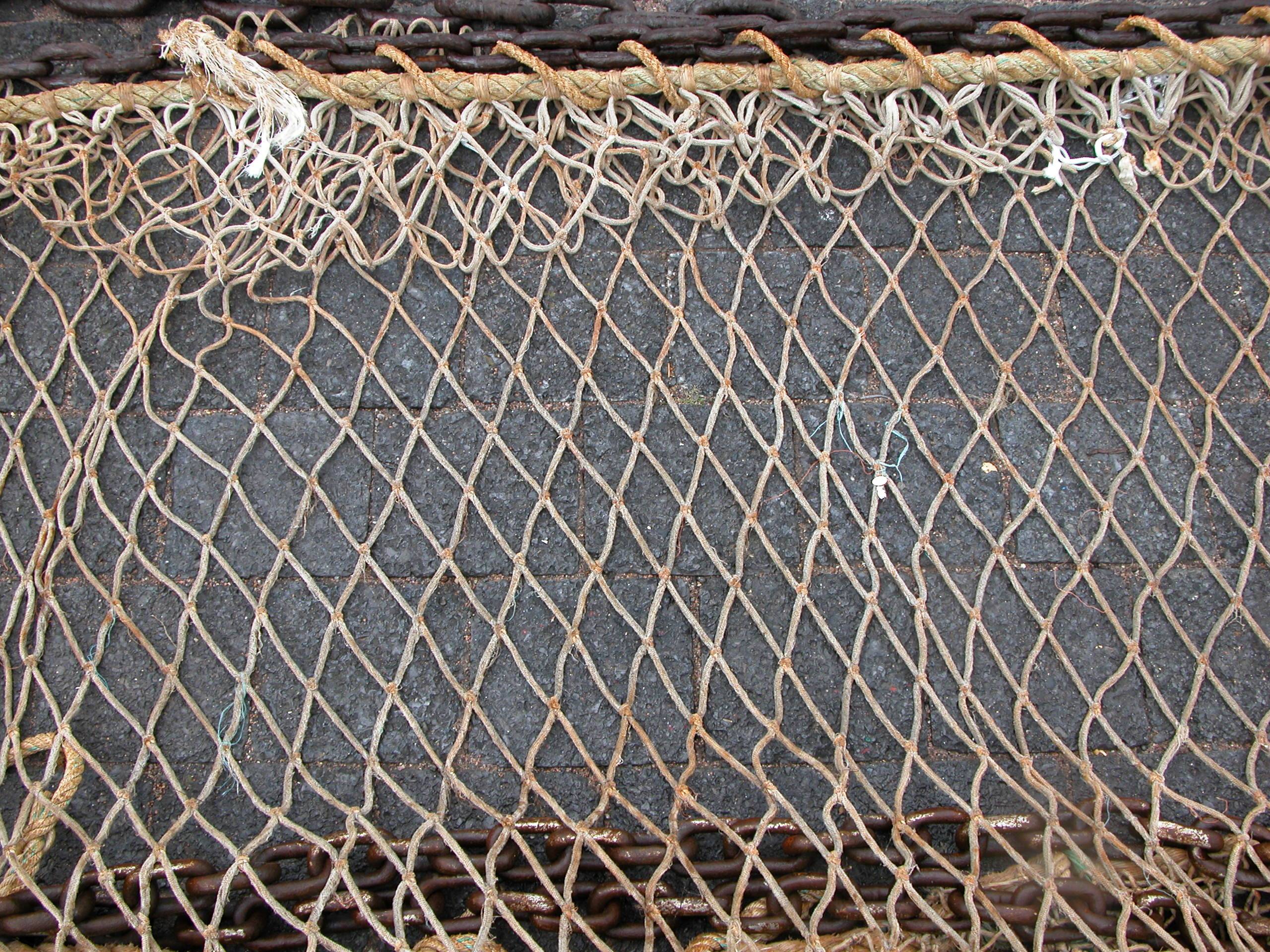 Виды сетей для ловли рыбы