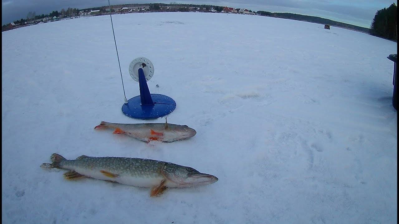 Оснастка жерлицы для зимней рыбалки в базовом исполнении