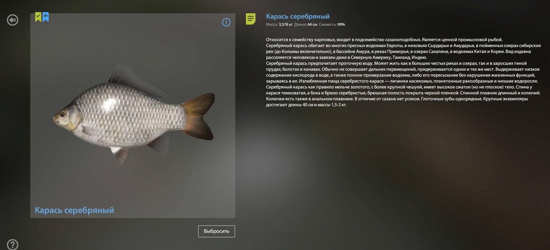 Морской карась-ласкирь фото и описание – каталог рыб, смотреть онлайн