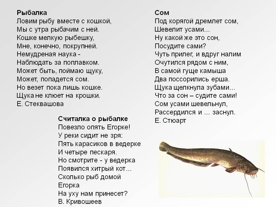 Часто ловлю на. Стихи про рыбалку. Стих про рыбака. Стих про рыбалку для детей. Детское стихотворение про рыбалку.