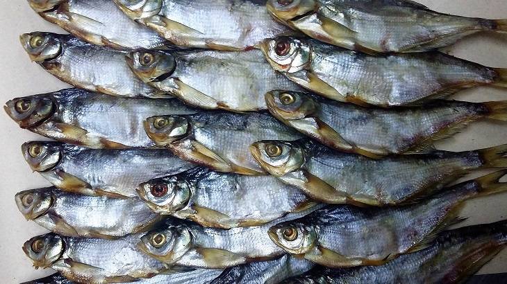 Голавль фото и описание – каталог рыб, смотреть онлайн
