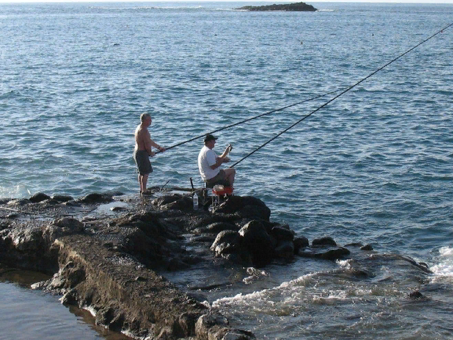 Морская рыбалка у берегов тенерифе - рыба