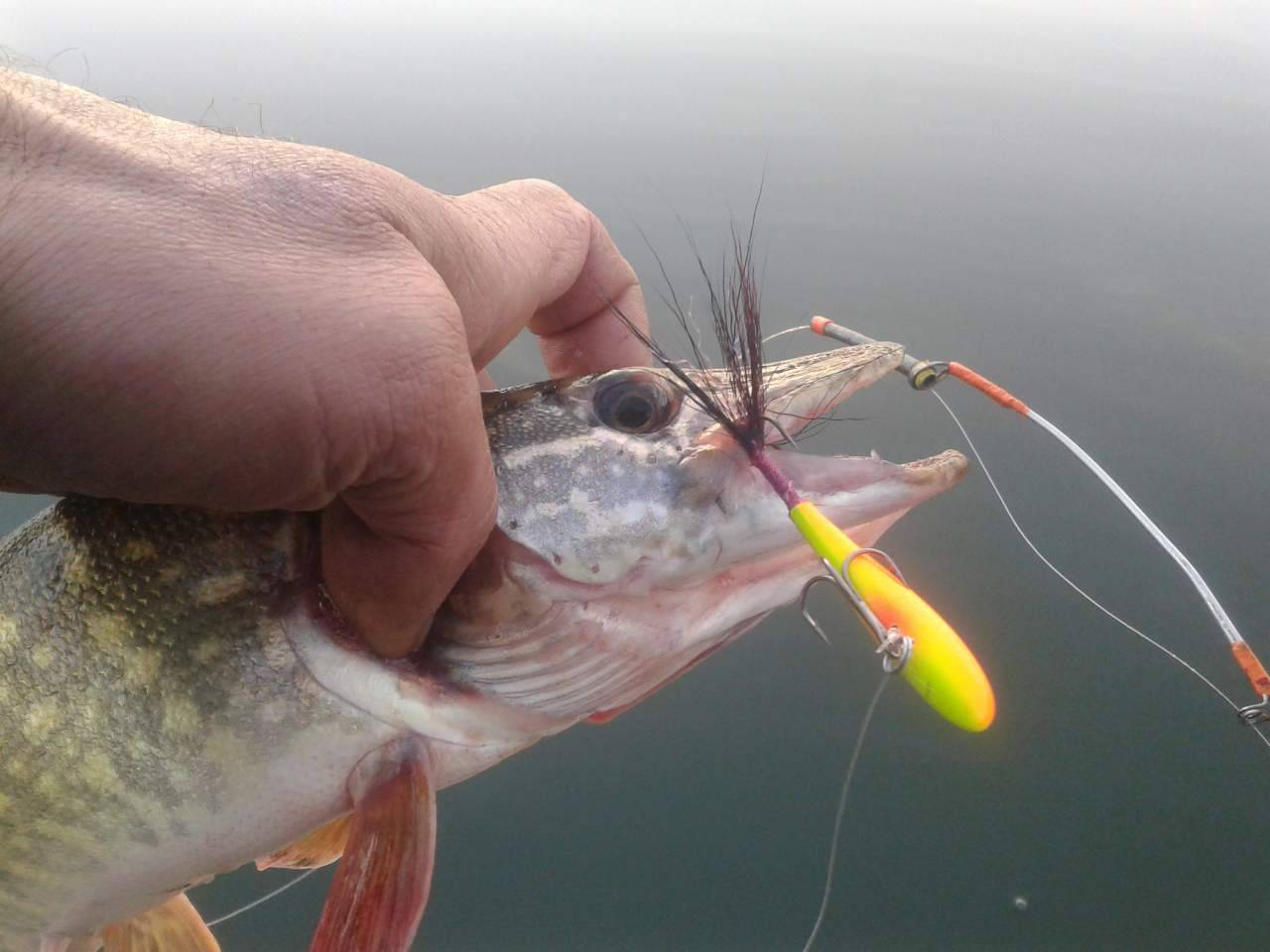 Блесны бокоплавы для зимней рыбалки – оснастка и техника ловли