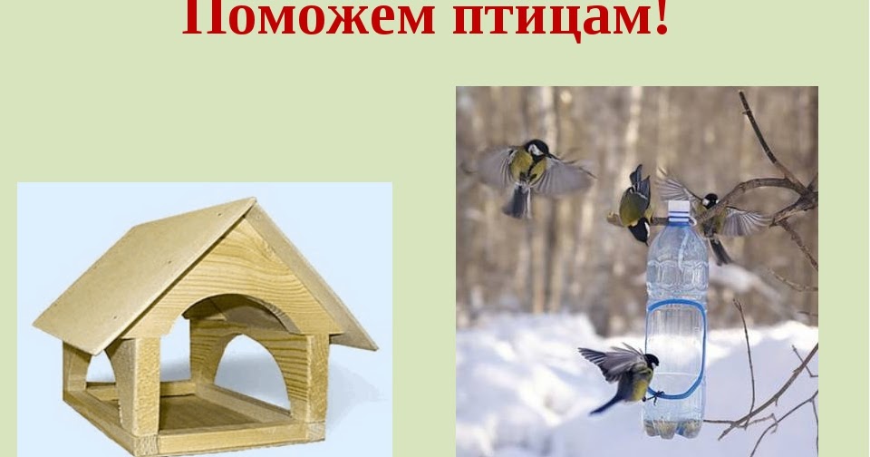 Кормушка для птиц своими руками — интересные идеи как сделать быстро и просто из подручных материалов