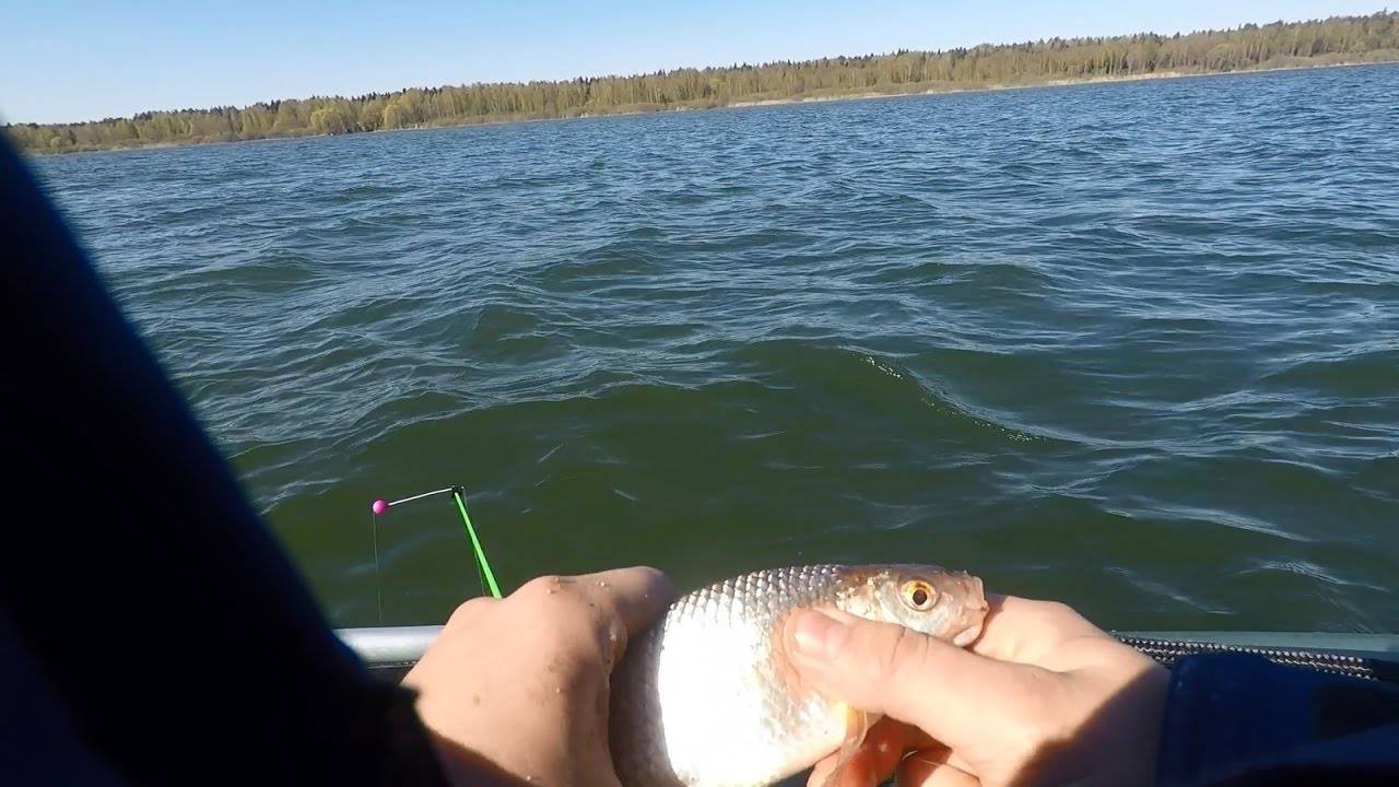 Рыбалка в плещеевом озере